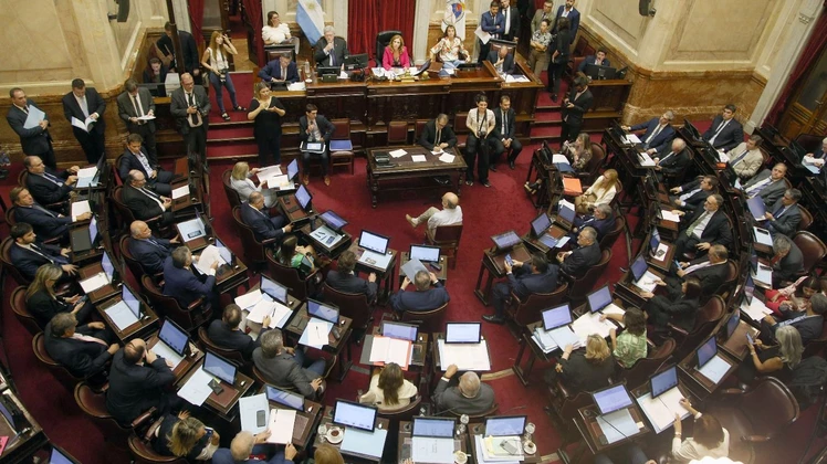 El Senado empezó a debatir del proyecto contra el lavado de dinero