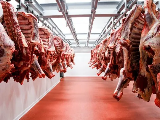 Las exportaciones de carne vacuna fueron récord en mayo: el 84% de los envíos fueron a China