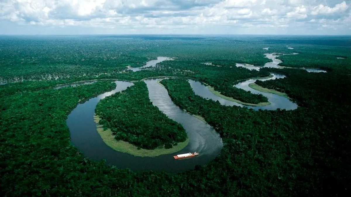 Las políticas ambientales establecidas por Lula hicieron caer la deforestación del Amazonas