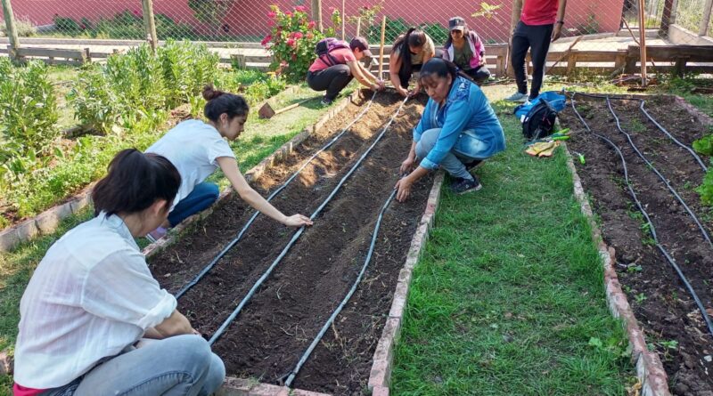El municipio de Salta implementa el riego por goteo en las huertas de la ciudad