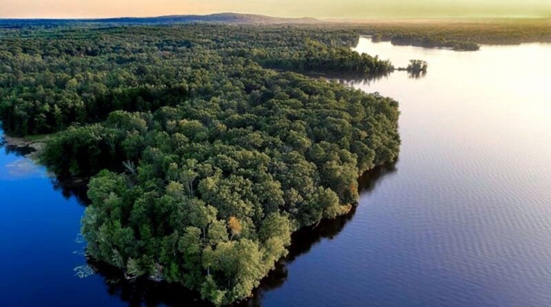 Brasil anuncia una reducción del 59% en la deforestación amazónica y persiste la tendencia a la baja