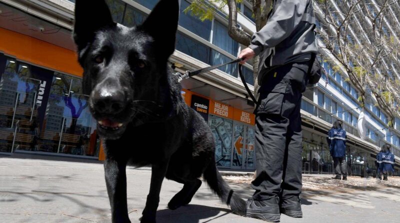 Se realizaron nuevos operativos en sucursales de una casa de cambio
