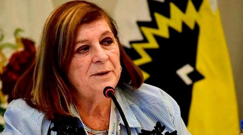 Vicepresidenta de la UCR se opone a Milei y afirma que Macri “rema para atrás”