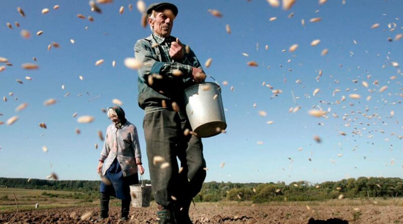 El fenómeno de “El Niño” ha llegado y los agricultores anticipan una prometedora temporada de siembra