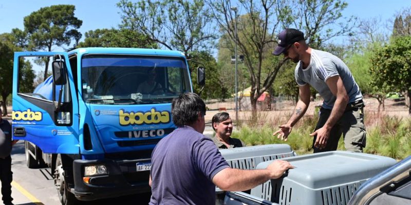 Incendios: la Municipalidad de Córdoba envió personal y medicamentos para ayudar animales