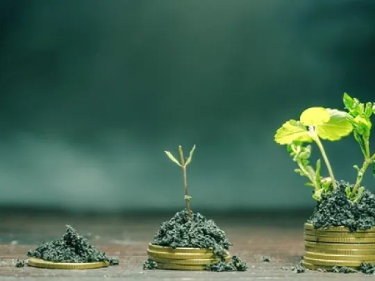 Finanzas sostenibles: BYMA tuvo un crecimiento del 50% entre bonos verdes y sociales