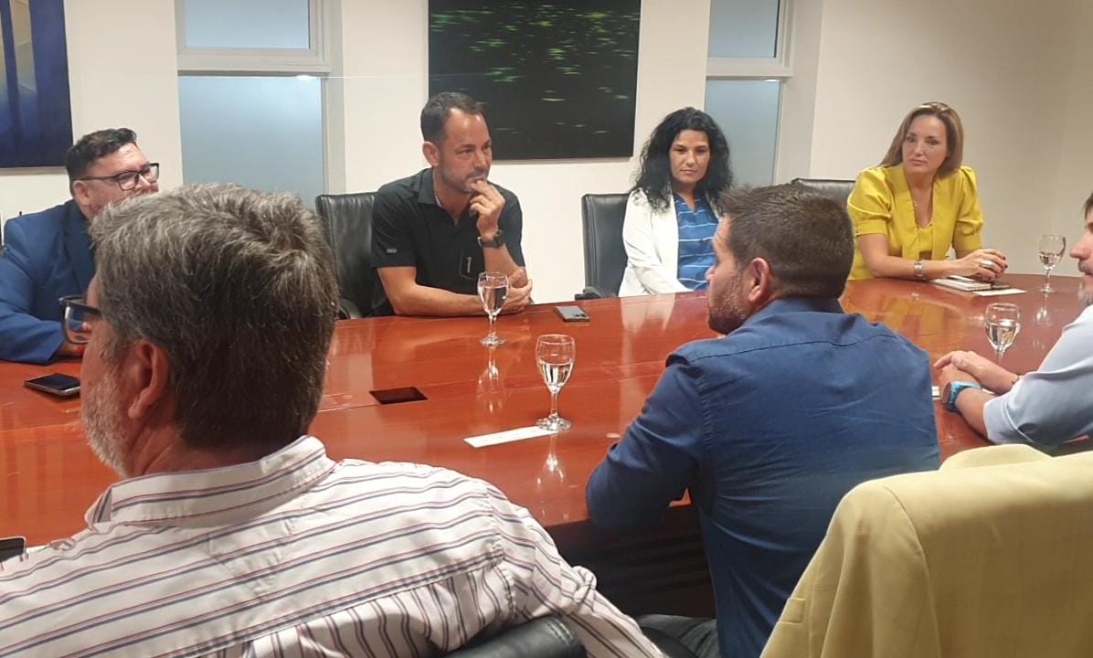 Borrador automático Borrador automático