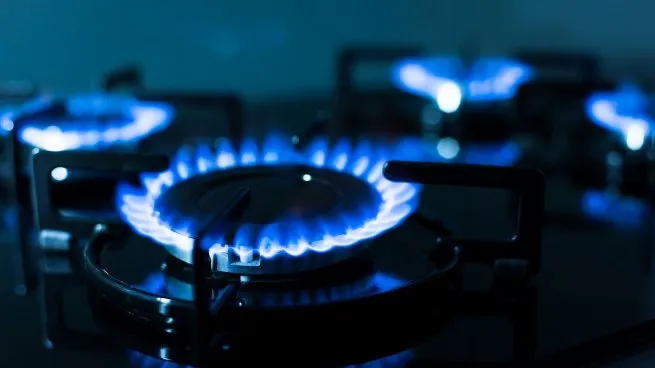 Tarifa de gas: el Gobierno postergó los aumentos para marzo