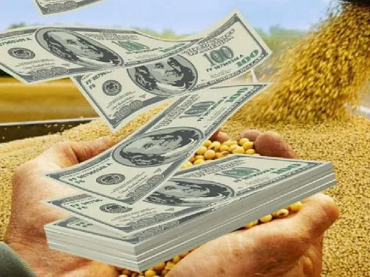 Dólar: los agroexportadores liquidaron u$s3.706 millones en junio antes de la suba de retenciones