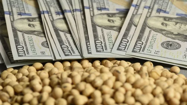 El Gobierno restableció las retenciones cero para granos hasta octubre para acelerar el ingreso de dólares