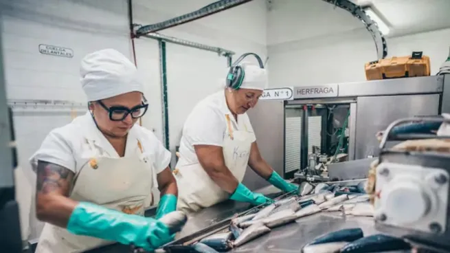 En medio de una profunda crisis, la pesca se hundió 82,8% en julio y tocó su peor nivel desde la pandemia