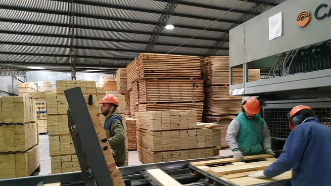 Repunte moderado en la industria: mejora la confianza empresarial, pero casi no habrá nuevas contrataciones