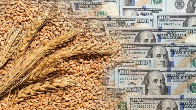 Presupuesto 2026: cuestionan la proyección oficial de ingresos por retenciones al agro