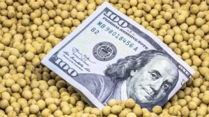 La soja avanzó en Chicago impulsada por la demanda, mientras cayeron el maíz y el trigo