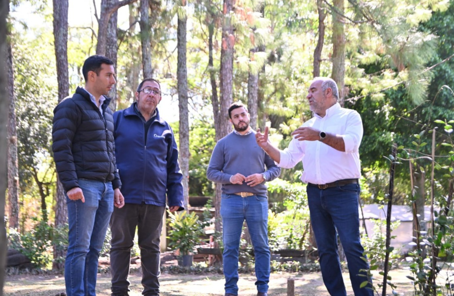 Corrientes lanzó un plan de arbolado urbano para plantar 20.000 árboles en cuatro años