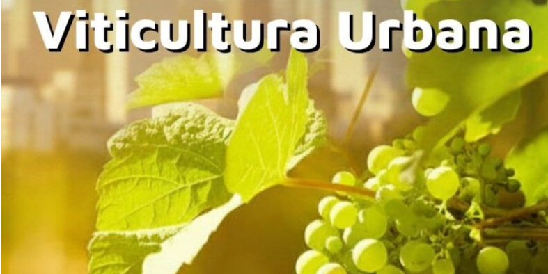 Córdoba lanzará el primer seminario de Viticultura Urbana y creará un viñedo público universitario