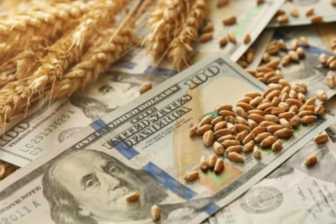 El agro liquidó más de US.000 millones en junio, pero las divisas siguen por debajo de 2025
