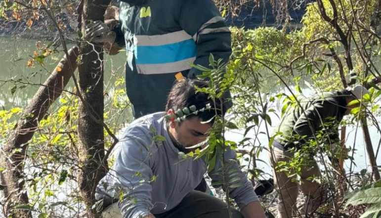 CABA: Plantaron más de 100 ejemplares autóctonos en la Reserva Ecológica Lago Lugano CABA: Plantaron más de 100 ejemplares autóctonos en la Reserva Ecológica Lago Lugano