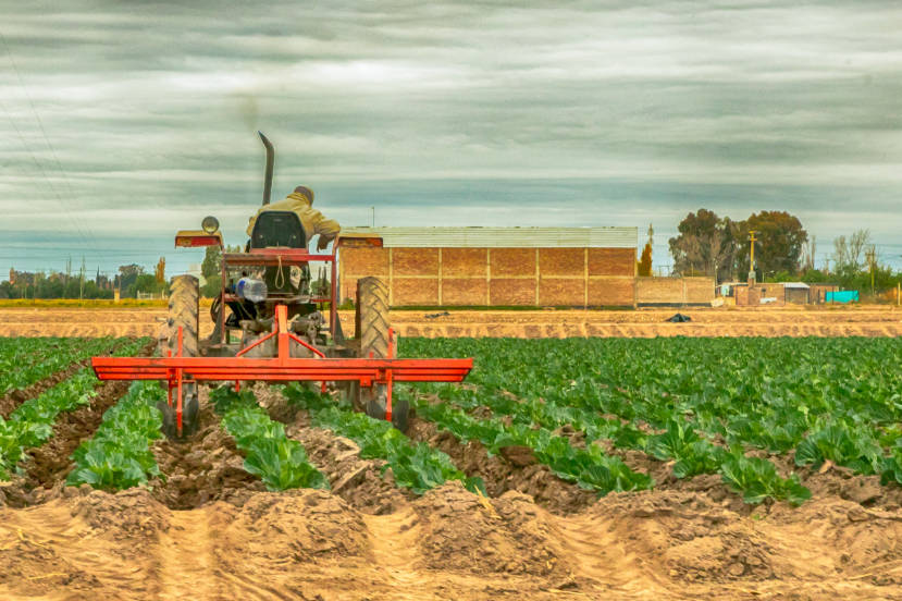 Maipú acompaña a pequeños productores con capacitación y asistencia técnica Maipú acompaña a pequeños productores con capacitación y asistencia técnica