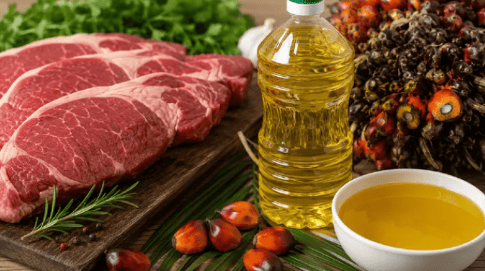 Récord agroindustrial: 117 productos impulsaron exportaciones por u$s 7.073 millones en el primer semestre Récord agroindustrial: 117 productos impulsaron exportaciones por u$s 7.073 millones en el primer semestre
