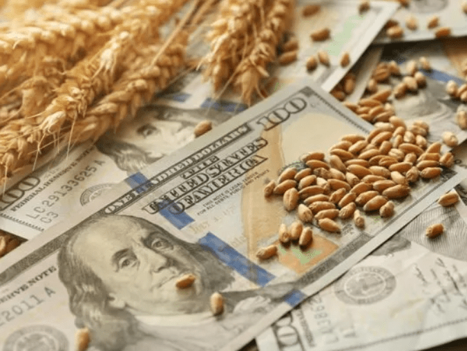El agro liquidó u$s 2.750 millones en agosto pero acumula una baja del 12% en 2026 El agro liquidó u$s 2.750 millones en agosto pero acumula una baja del 12% en 2026