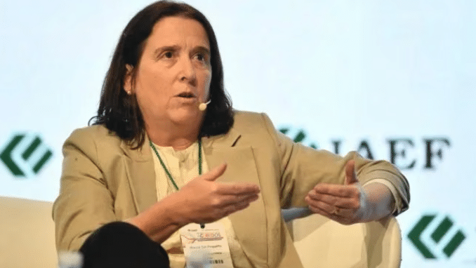 RIGI: Marina Dal Poggetto estimó un gasto tributario de u$s8.500 millones y abrió el debate: pierde recursos el Estado?