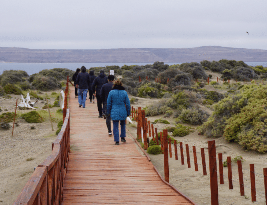 Chubut avanza en la puesta en valor de Península Valdés con un proyecto de economía circular